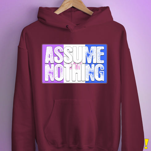 Assume Nothing Drag Pride Flag Hoodie - Maroon